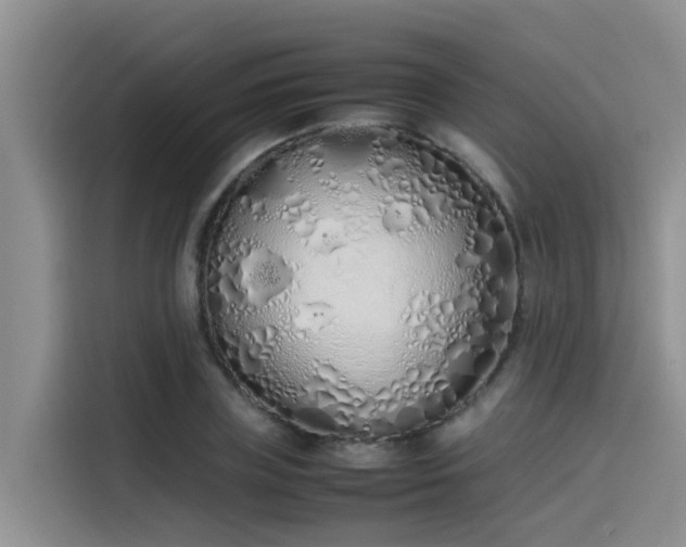 X0000115620835200911171314