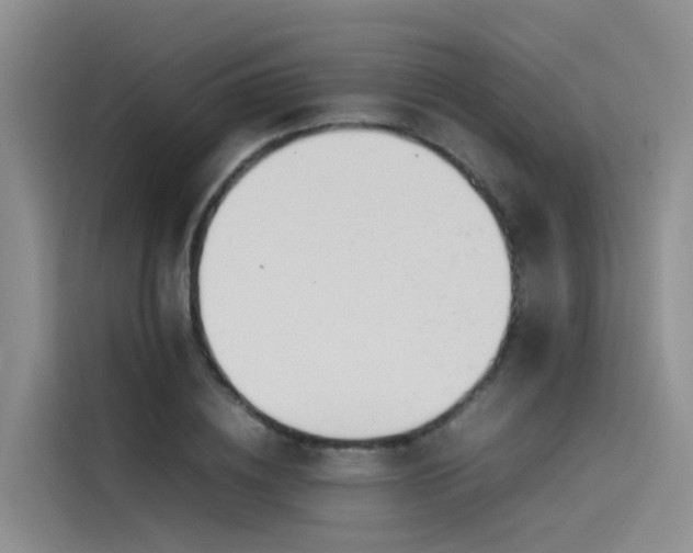 X0000115620836200911171314