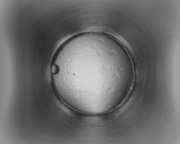 X0000115620838200911171314