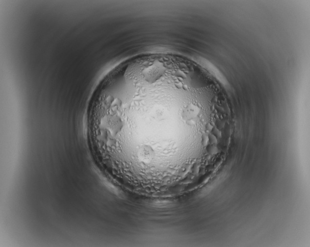 X0000115620839200911171314