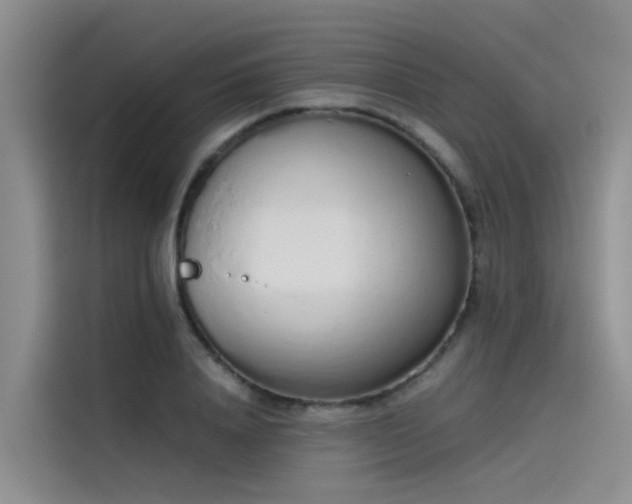 X0000115620840200911171314