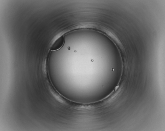 X0000115620842200911171314