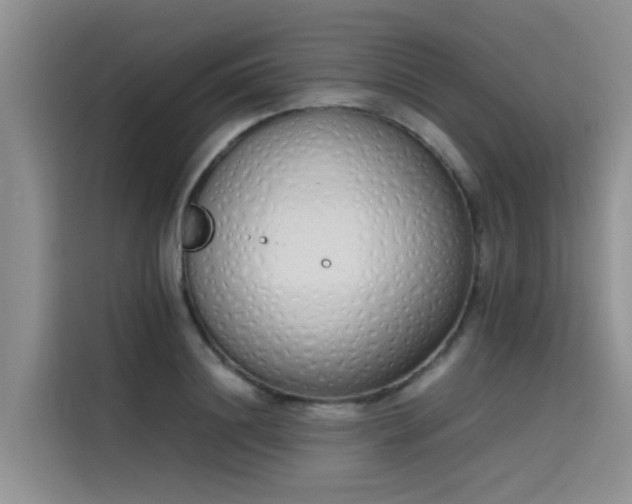 X0000115620844200911171314