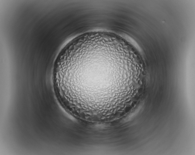 X0000115620847200911171314