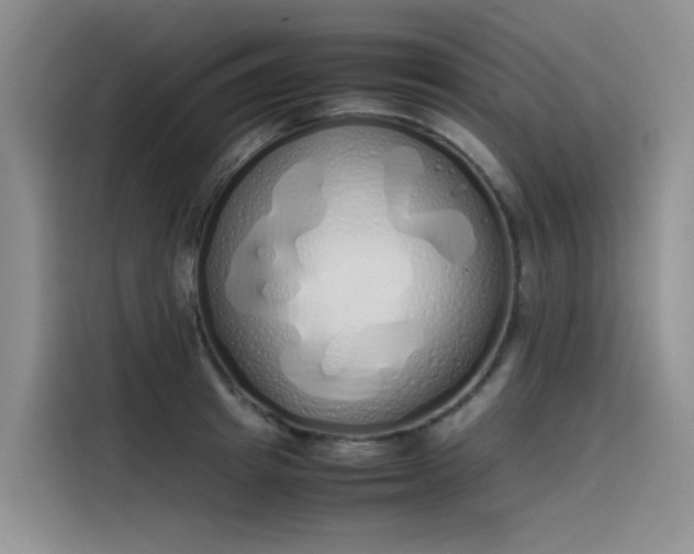 X0000115620849200911171314