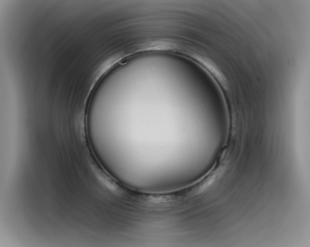 X0000115620850200911171314