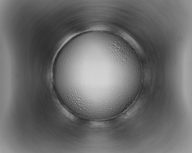 X0000115620852200911171314