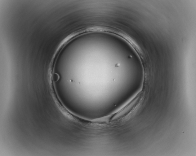 X0000115620854200911171314