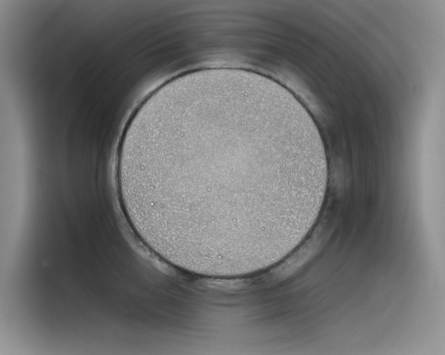 X0000115620856200911171314