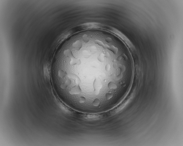 X0000115620857200911171314