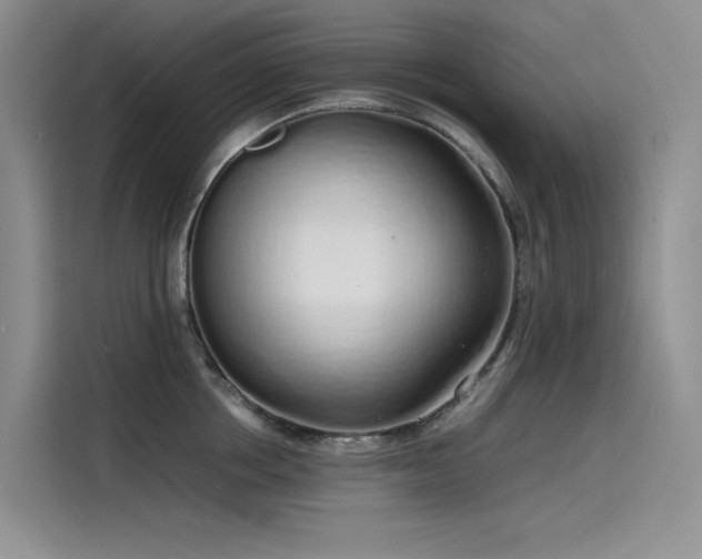 X0000115620858200911171314