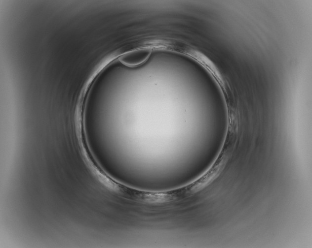 X0000115620859200911171314