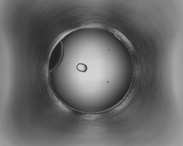 X0000115620860200911171314