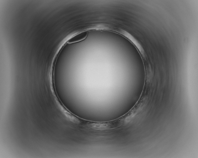 X0000115620861200911171314