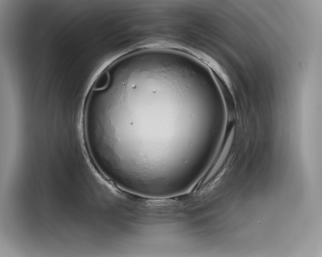 X0000115620863200911171314