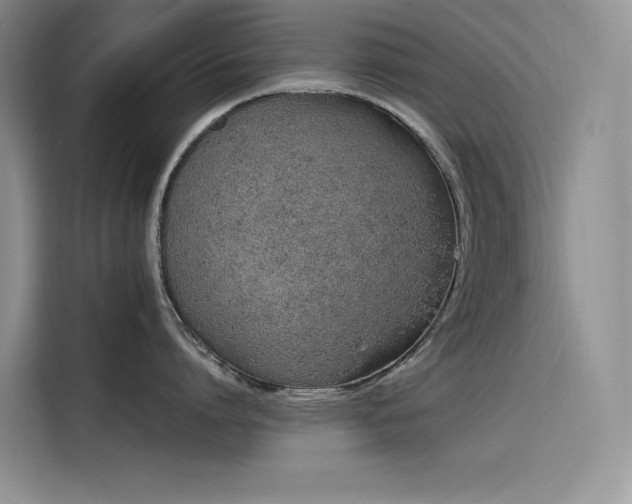 X0000115620864200911171314