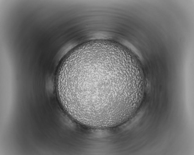 X0000115620874200911171314