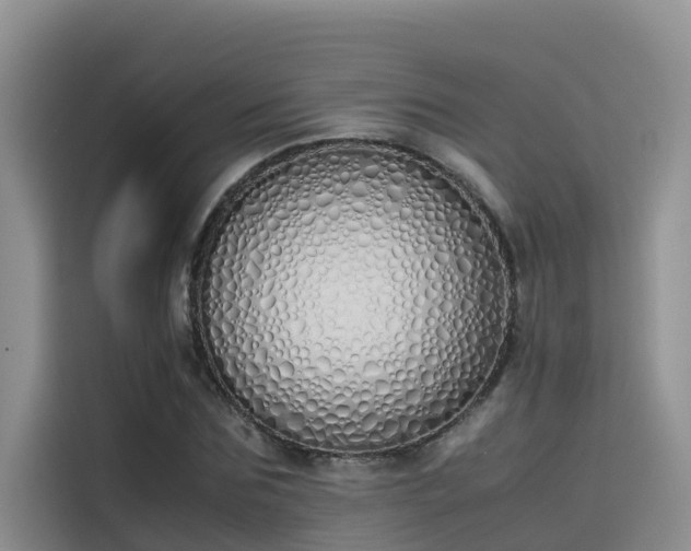 X0000115620875200911171314