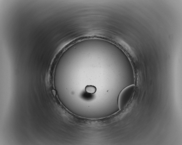 X0000115620876200911171314