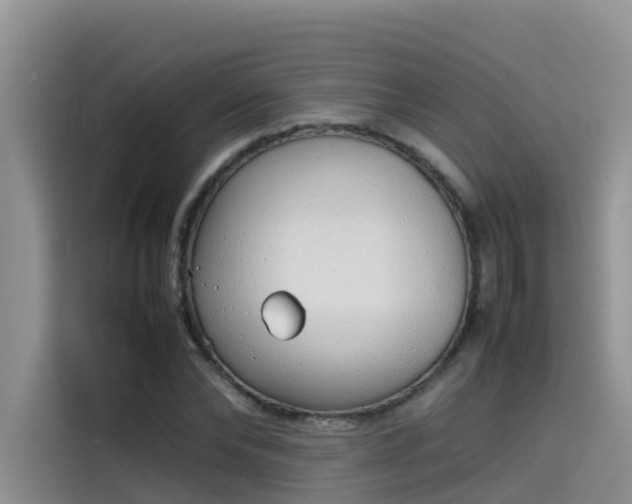 X0000115620878200911171314