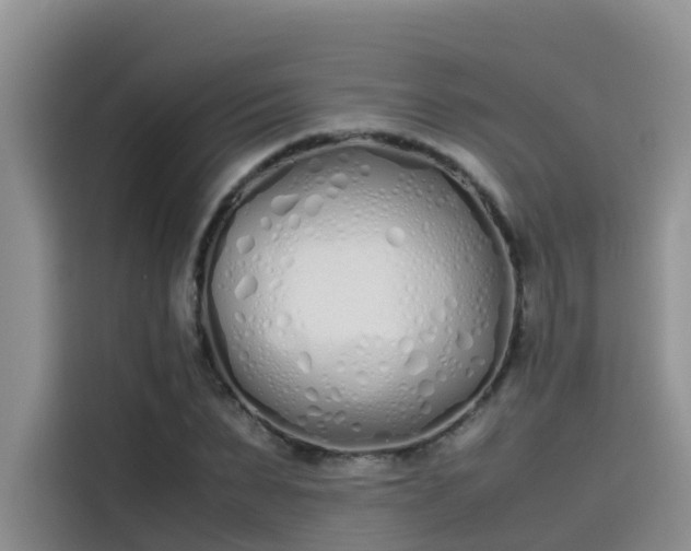 X0000115620879200911171314