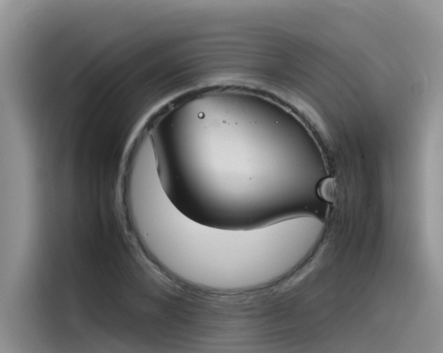 X0000115620880200911171314