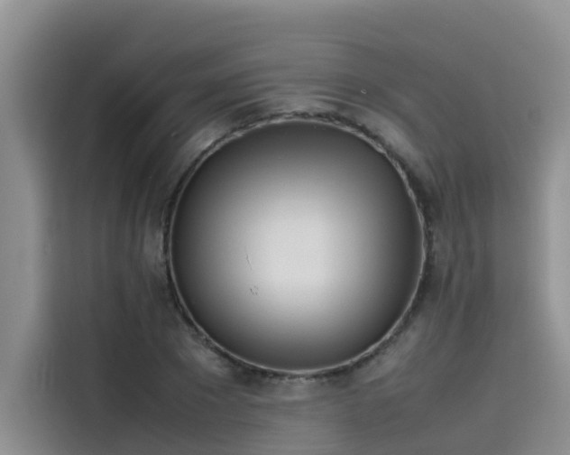 X0000115620881200911171314