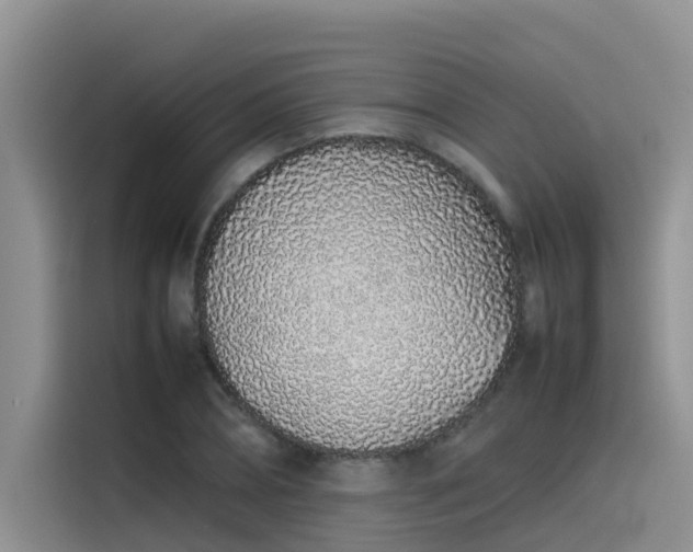 X0000115620882200911171314