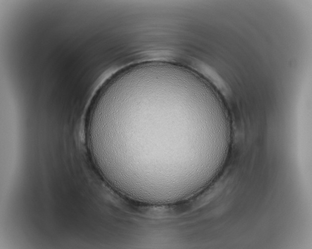 X0000115620883200911171314