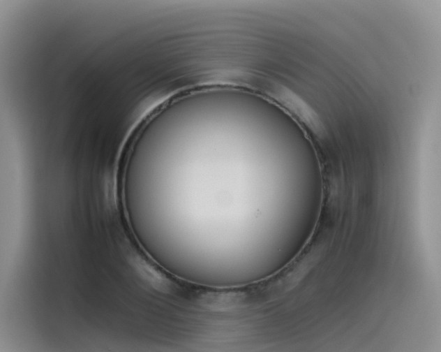 X0000115620884200911171313