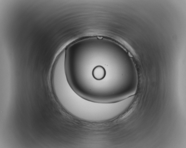 X0000115620885200911171313