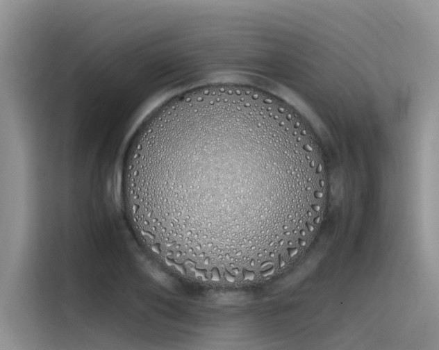 X0000115620886200911171313