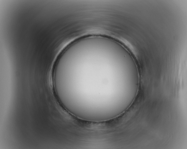 X0000115620887200911171313