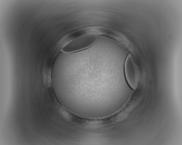 X0000115620889200911171313