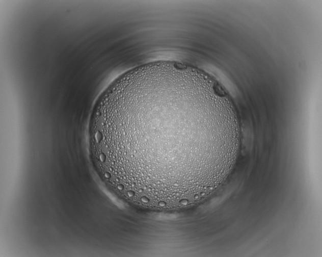 X0000115620890200911171313