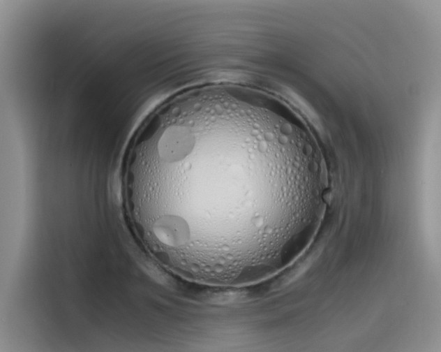 X0000115620891200911171313