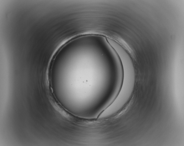 X0000115620892200911171313