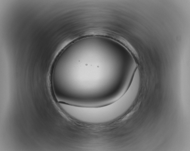 X0000115620893200911171313