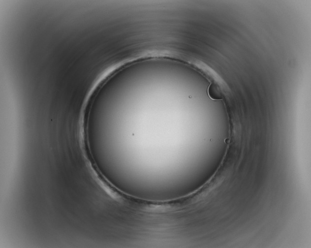 X0000115620894200911171313