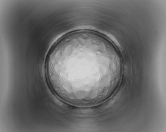 X0000115620895200911171313