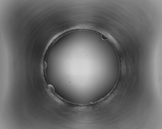 X0000115620896200911171313