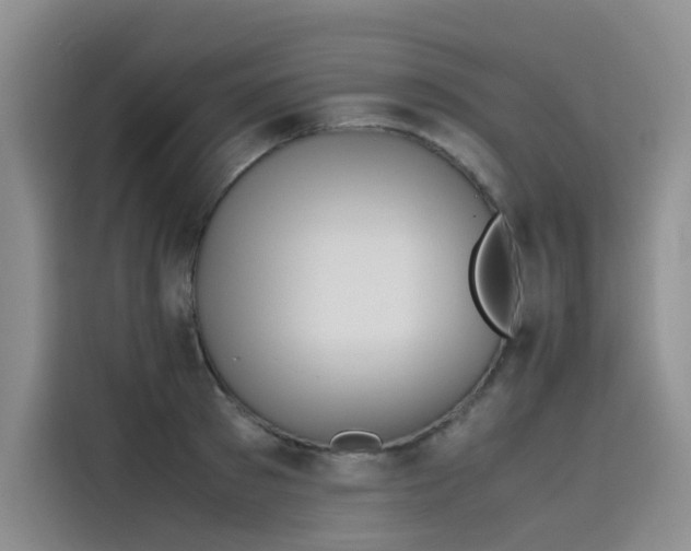 X0000115620897200911171313