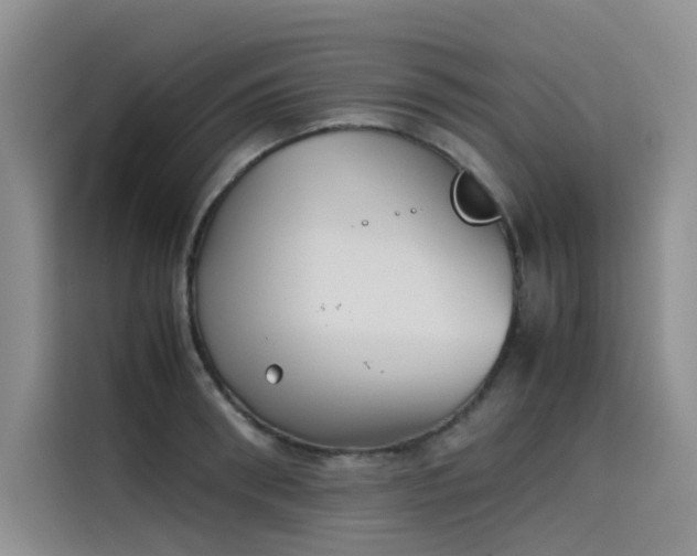 X0000115620898200911171313