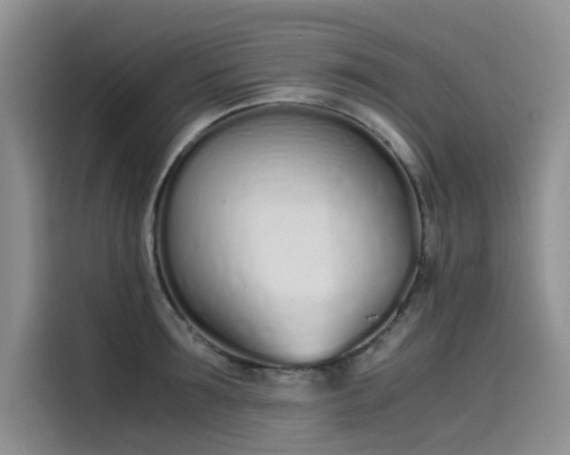 X0000115620899200911171313