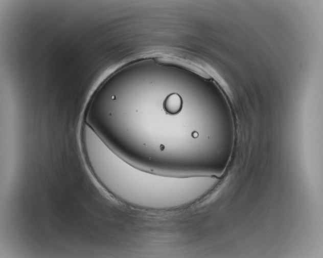 X0000115620901200911171313