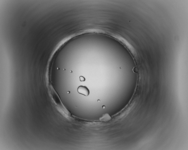 X0000115620902200911171313