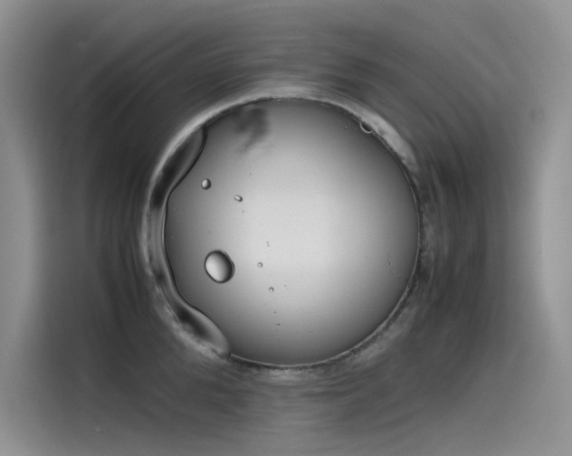 X0000115620904200911171313