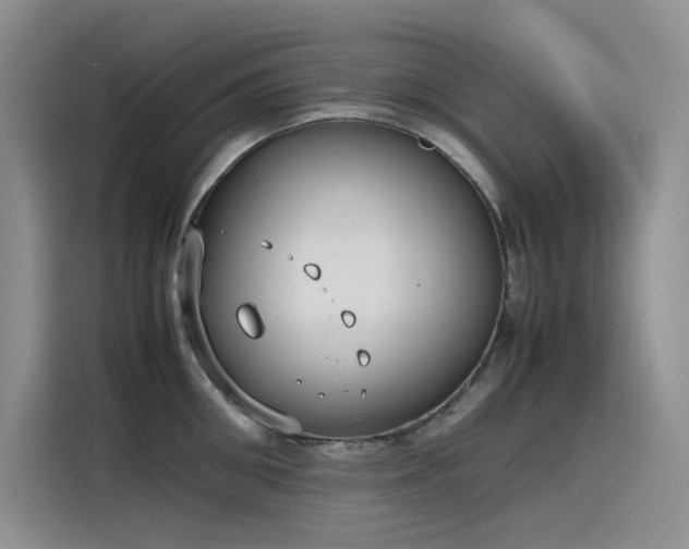 X0000115620906200911171313