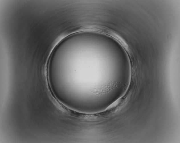 X0000115620907200911171313