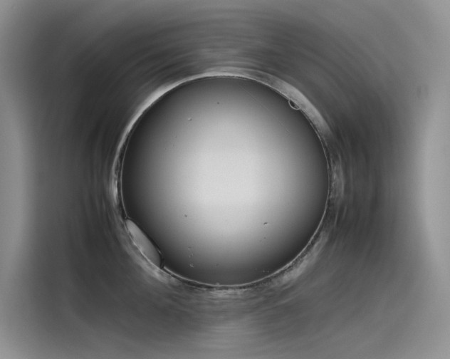 X0000115620908200911171313